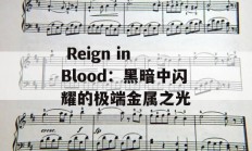  Reign in Blood：黑暗中闪耀的极端金属之光